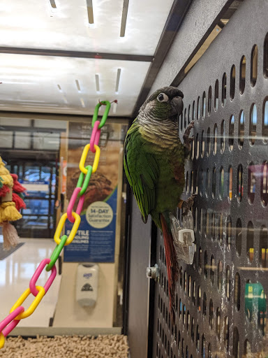 Pet Supply Store «PetSmart», reviews and photos, 8111 Brier Creek Pkwy, Raleigh, NC 27617, USA