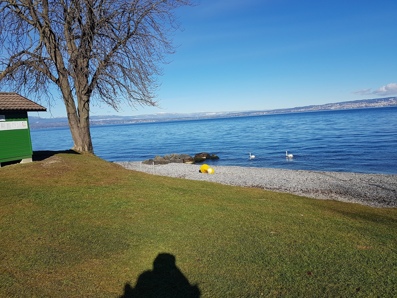 Plage d'Amphion-Publier photo #8