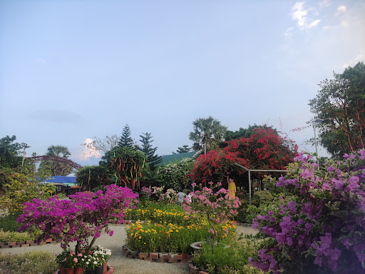 Top 20 mẫu cửa hàng đẹp Huyện Tịnh Biên An Giang 2022