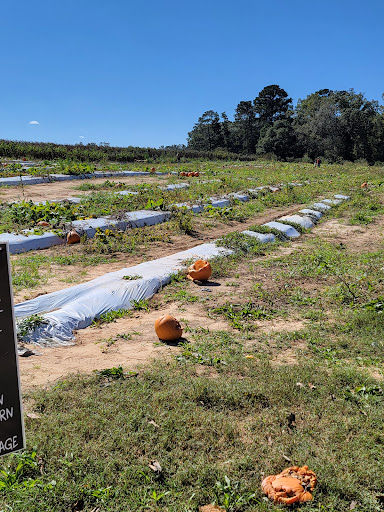 Tourist Attraction «Mitcham Farm», reviews and photos, 797 W Macedonia Church Rd, Oxford, GA 30054, USA