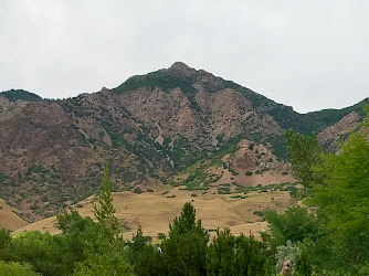 Ogden's George S. Eccles Dinosaur Park