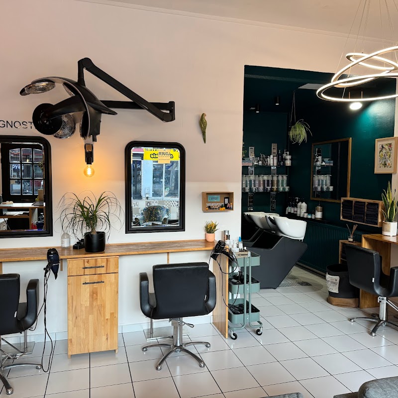 L'appart Coiffure & Cocoon