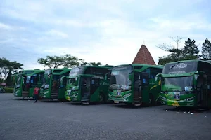 Barniey Wisata Tour and Transport image