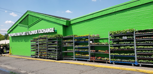 Florist «Metropolitan Plant & Flower», reviews and photos, 840 NJ-17, Paramus, NJ 07652, USA