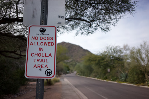 Tourist Attraction «Cholla Trail Head», reviews and photos, 6205 E Cholla Ln, Paradise Valley, AZ 85253, USA