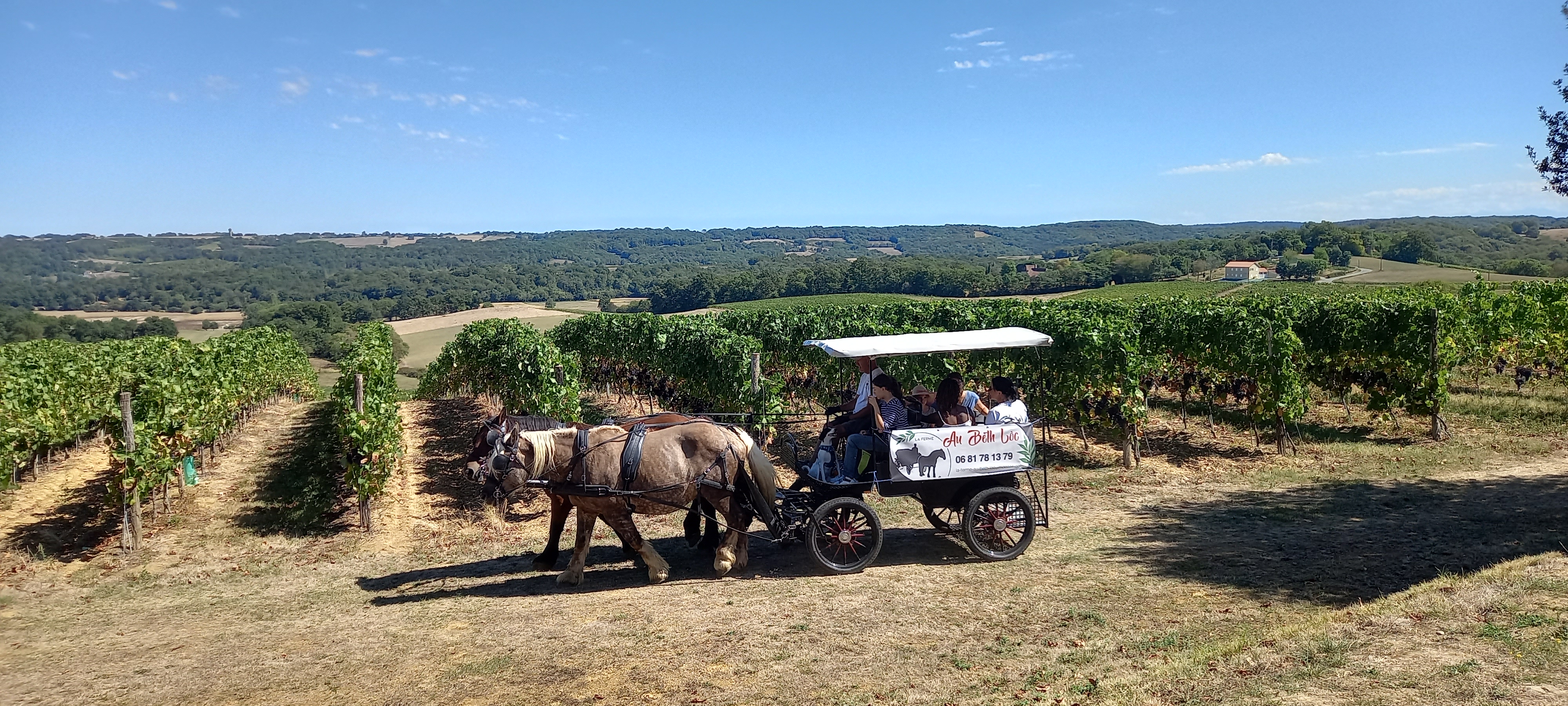 Photo n° 4 de l'avis de Pierre.u fait le 13/09/2022 à 13:10