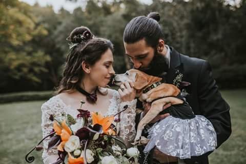 Bridal Shop «The Bridal Suite», reviews and photos, 1340 E 9 Mile Rd, Pensacola, FL 32514, USA