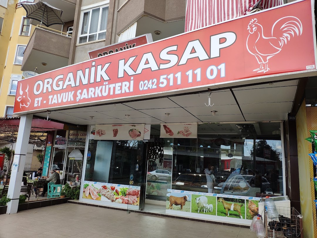 ORGANK KASAP