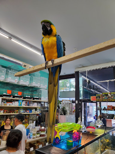 Pet Store «Jules Pet Shop», reviews and photos, 2214 N Milwaukee Ave, Chicago, IL 60647, USA