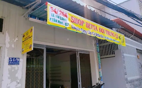 Shop Betta Koi Trung Le image