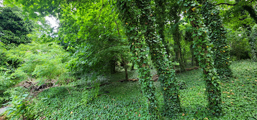 Park «Mack Park», reviews and photos, 31 Grove St, Salem, MA 01970, USA