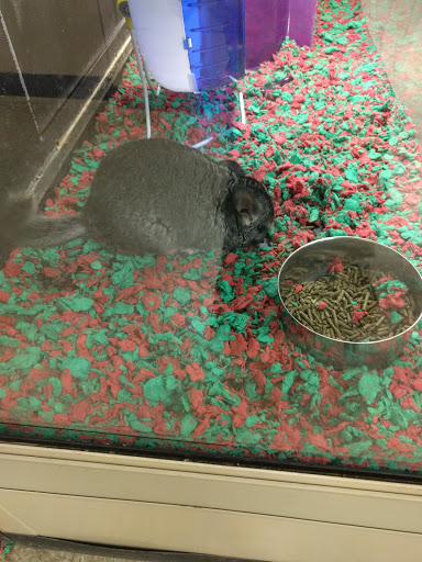 Pet Supply Store «PetSmart», reviews and photos, 315 W Rte 70, Marlton, NJ 08053, USA