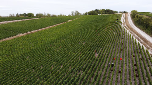 Champagne Huré Frères à Ludes