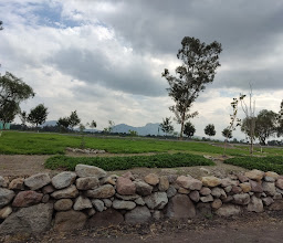 Ejidos de Xochimilco y San Gregorio Atlapulco photo