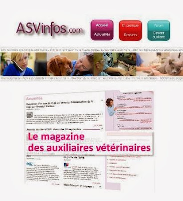 ASVinfos à Tréméoc