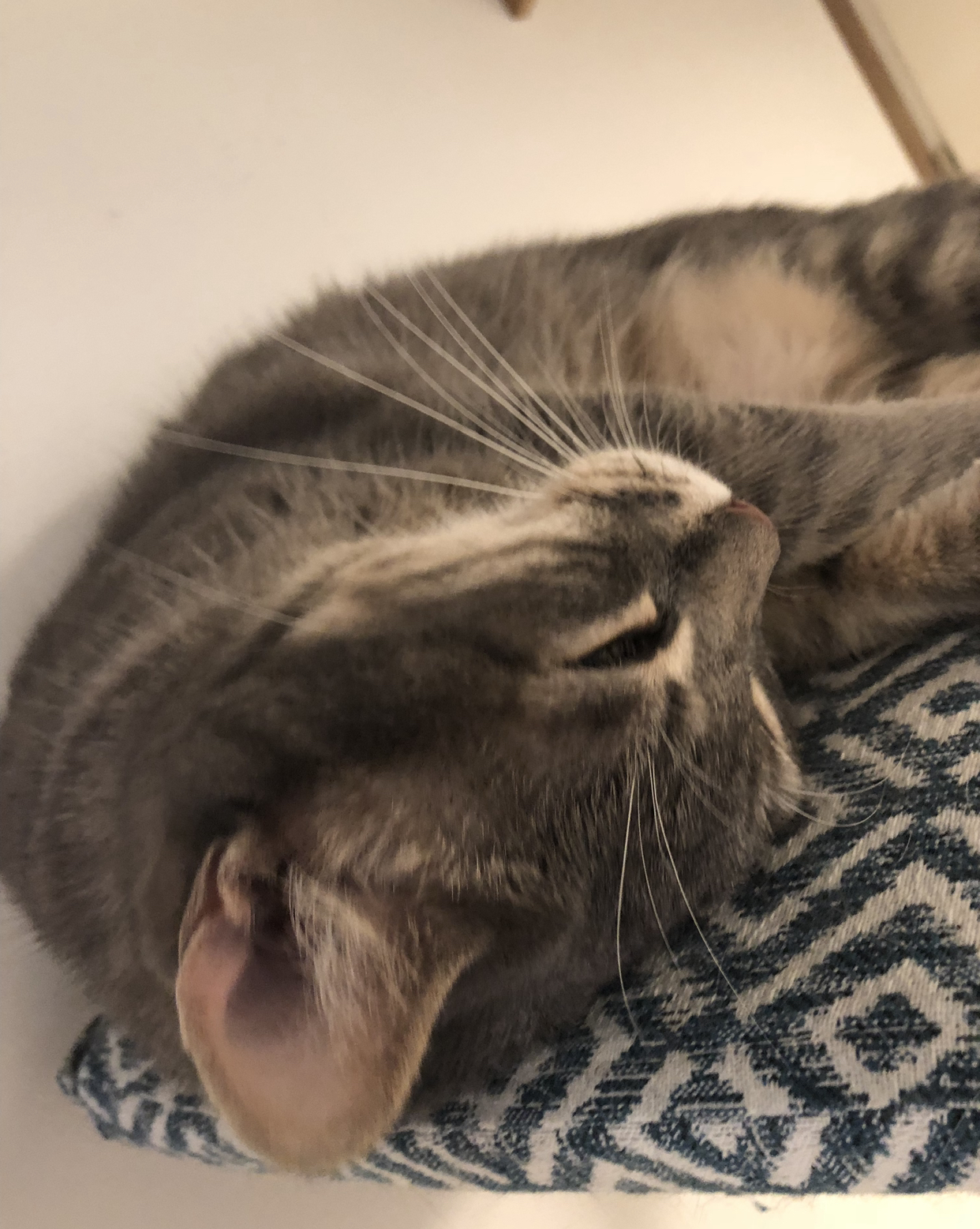 Photo n° 2 de l'avis de Janis. fait le 24/08/2019 à 17:55