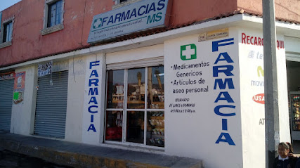 Farmacias Ms, , Pachuquilla