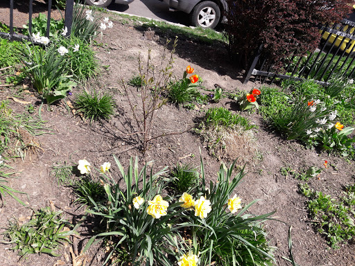 Monument «Washington Monument», reviews and photos, 699 Washington Pl, Baltimore, MD 21201, USA