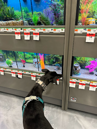 Pet Supplies Plus Monona
