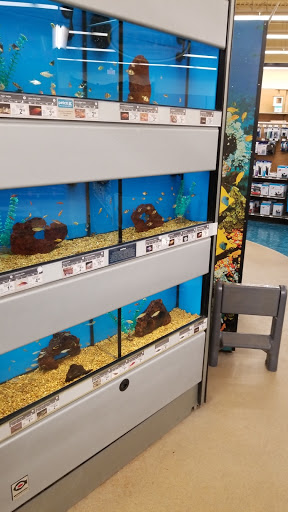 Pet Supply Store «Petco Animal Supplies», reviews and photos, 3055 Columbia Blvd #117, Titusville, FL 32780, USA