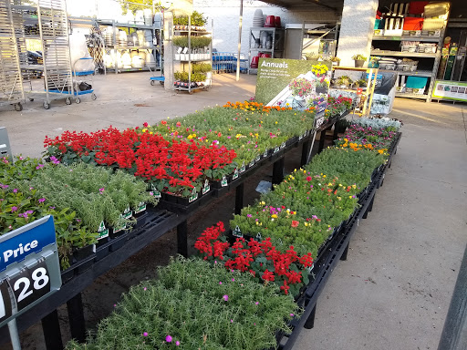 Department Store «Walmart Supercenter», reviews and photos, 1210 Mineral Wells Ave, Paris, TN 38242, USA