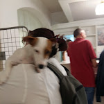 Photo n°3 de l'avis de Angela.e fait le 22/06/2018 à 18:22 sur le  Hotel Michelangelo à Cesenatico