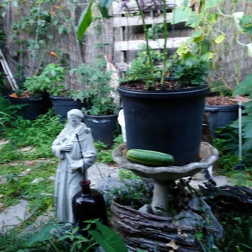 Park «Southside Park», reviews and photos, Southside Park Loop, Beaufort, SC 29902, USA