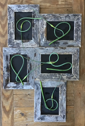 Grocery Store «Community Market at the Barlow», reviews and photos, 6762 Sebastopol Ave #100, Sebastopol, CA 95472, USA