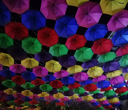 The Grove Mall photo