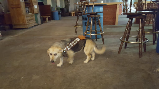 Brewery «Whalers Brewing Company», reviews and photos, 1174 Kingstown Rd, Wakefield, RI 02879, USA