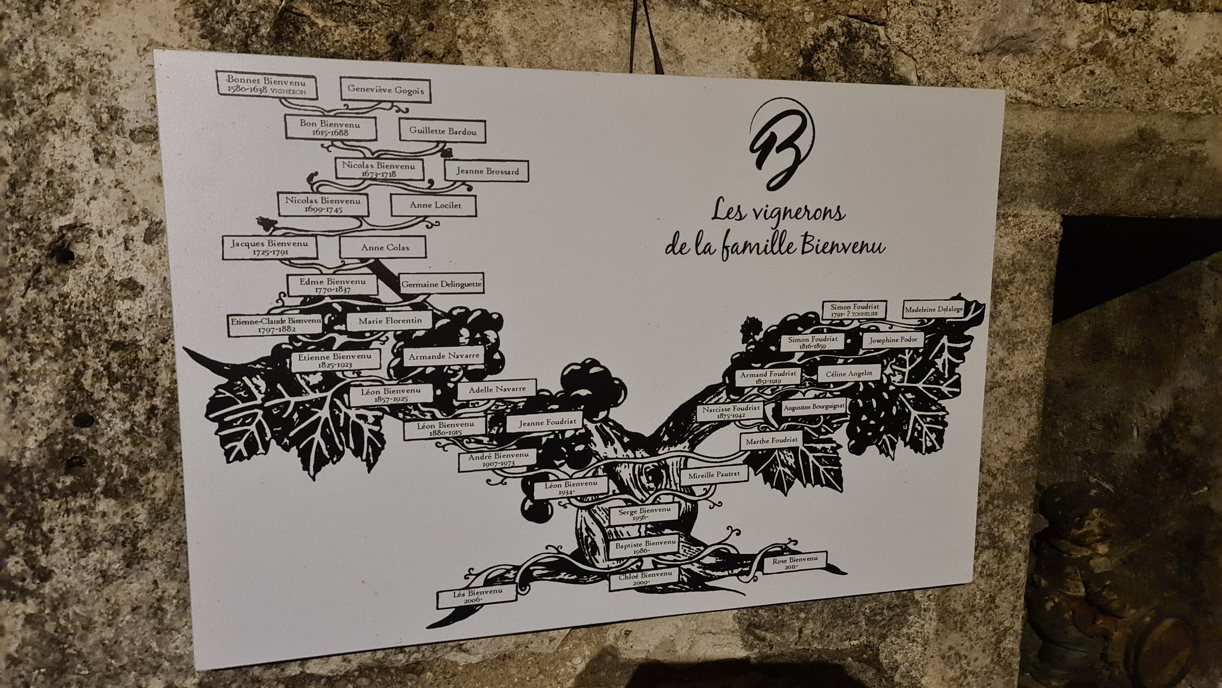Photo n° 1 de l'avis de Ceemf.u fait le 22/02/2023 à 16:11