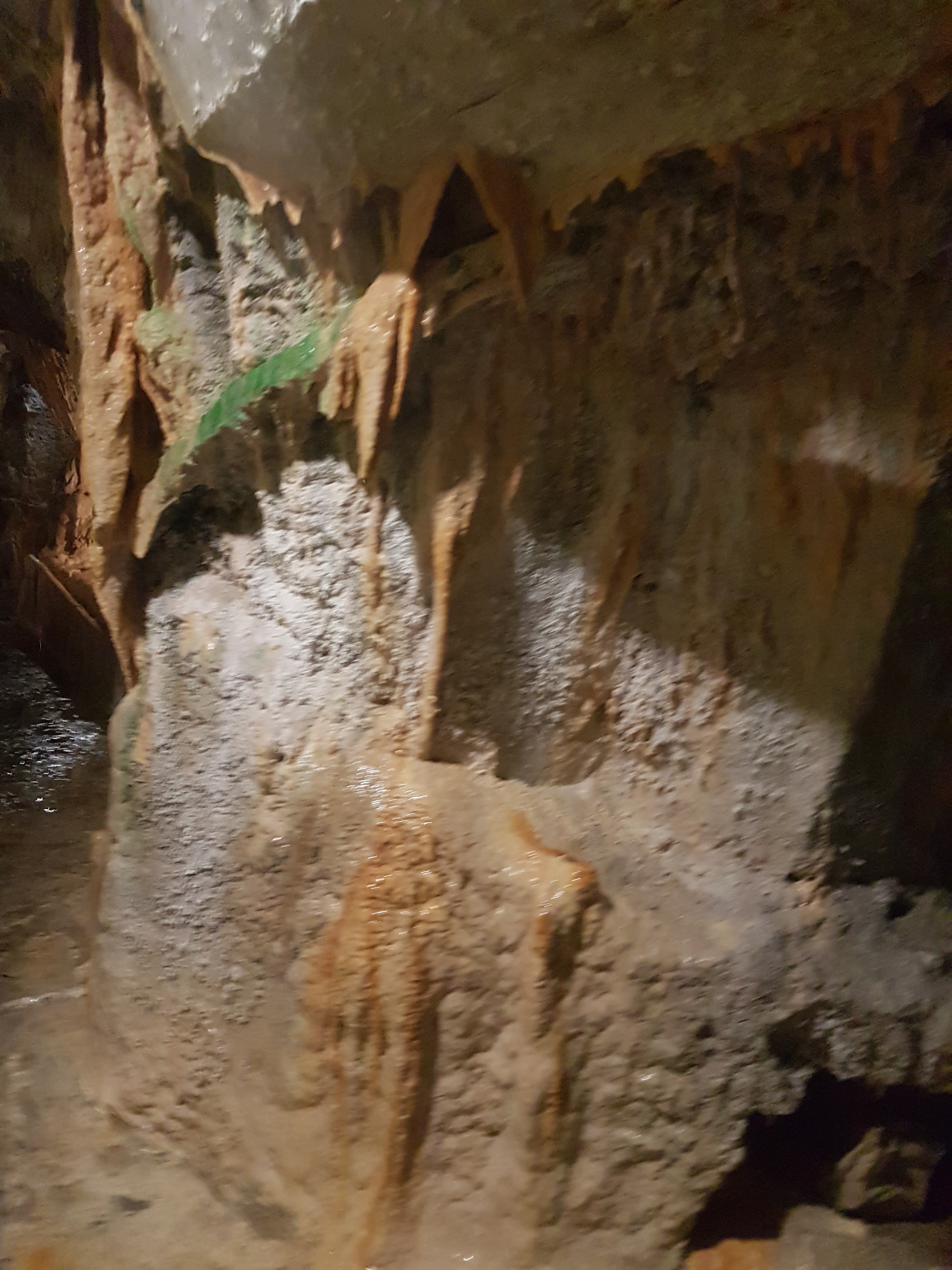 Photo n° 11 de l'avis de Alicia.a fait le 13/01/2020 à 12:26
