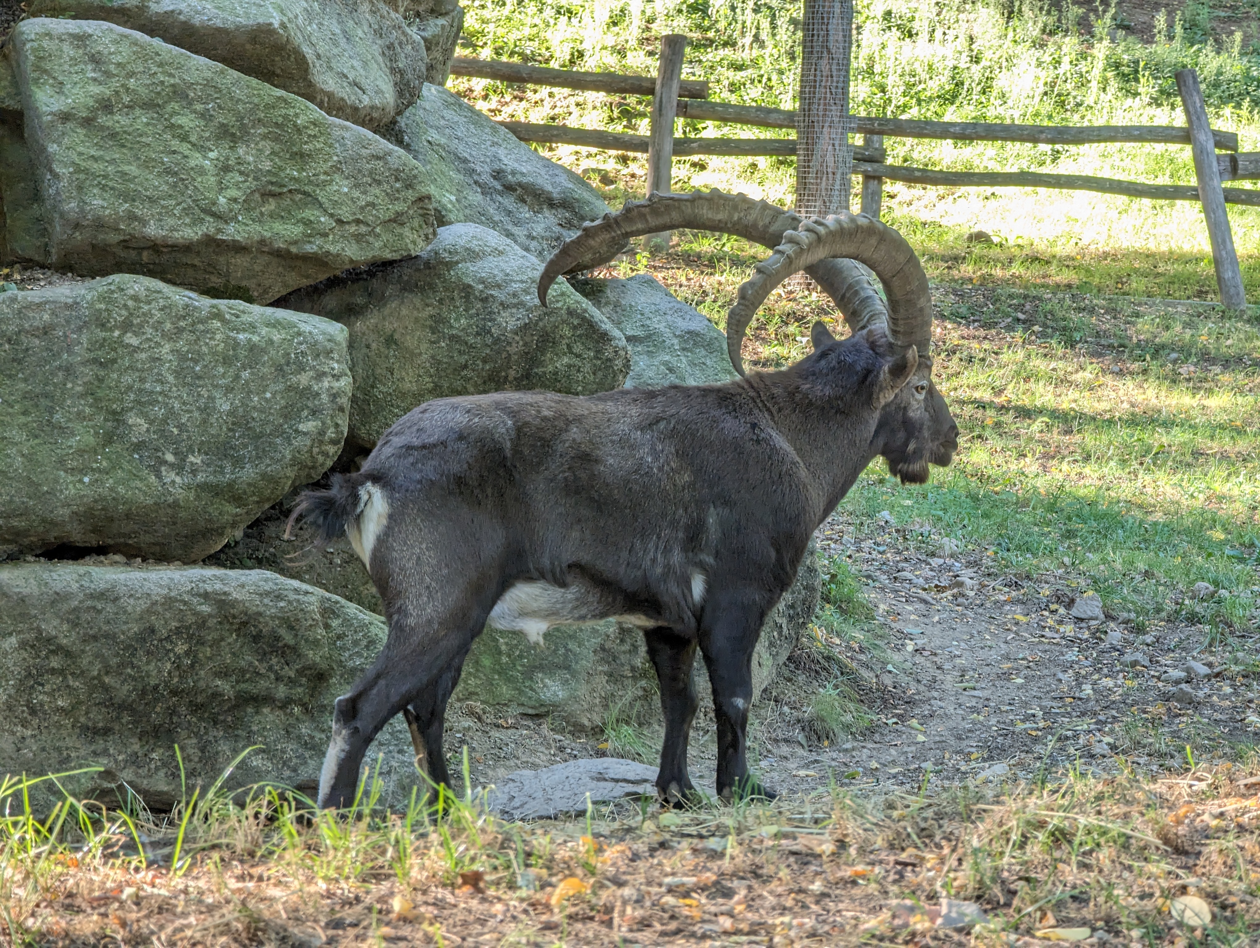 Photo n° 31 de l'avis de Thibaud.l fait le 10/10/2023 à 07:10