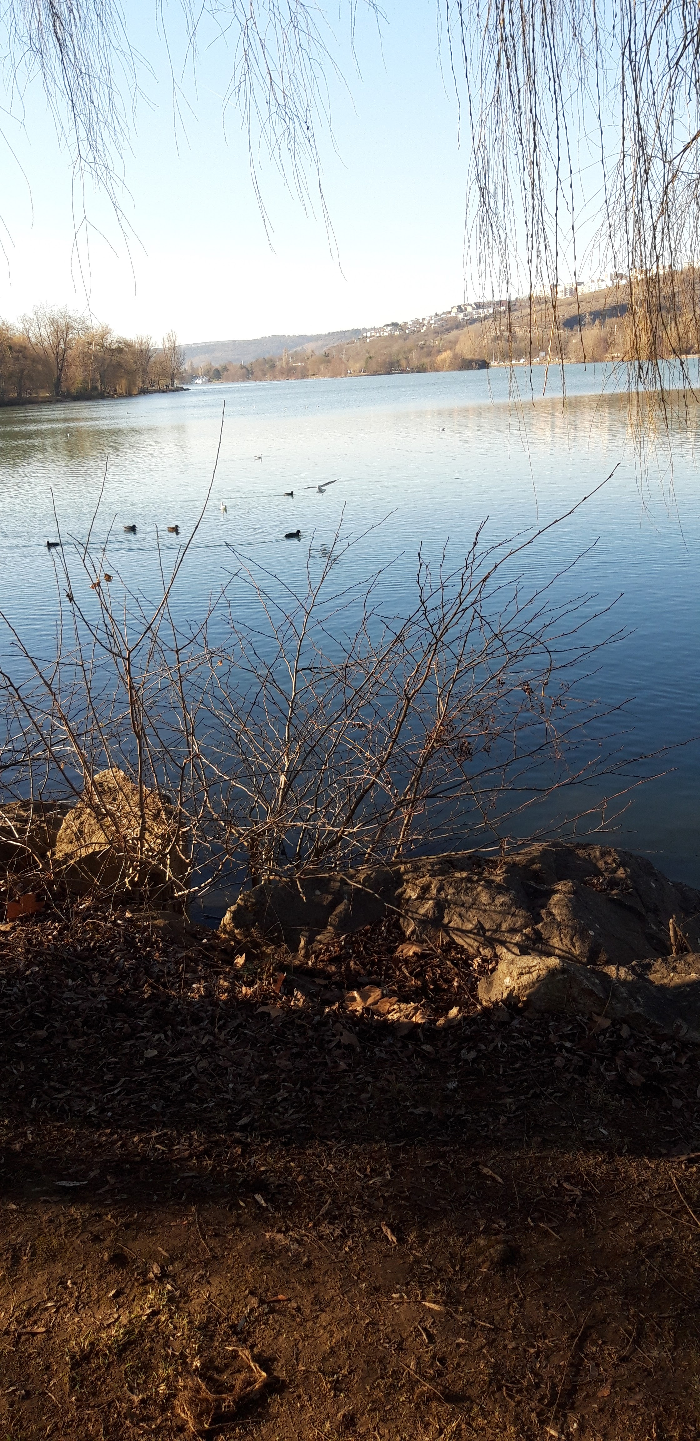 Photo n° 4 de l'avis de Lord.r fait le 29/01/2019 à 16:16