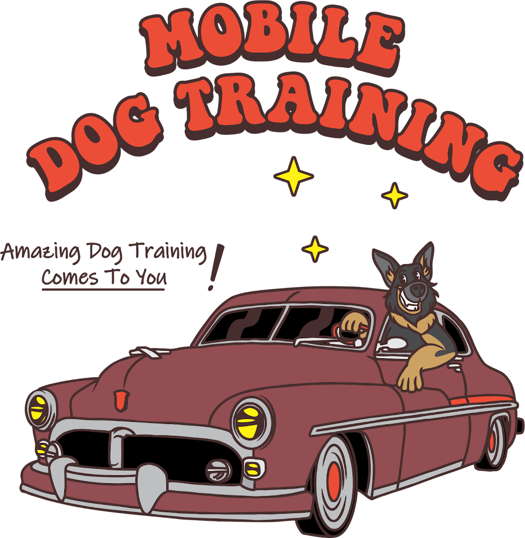 Amazing Dog Training