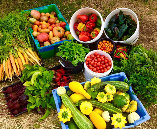 Winery «Vin Du Lac Winery», reviews and photos, 105 WA-150, Chelan, WA 98816, USA