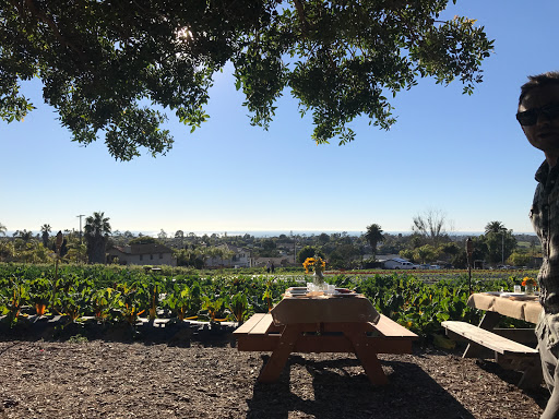 Cyclops farms Find Farm in Chicago news