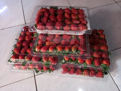 Toko Strawberry fresh & frozen