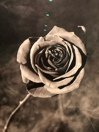 Modern Art Museum «Solomon R. Guggenheim Museum», reviews and photos, 1071 5th Ave, New York, NY 10128, USA