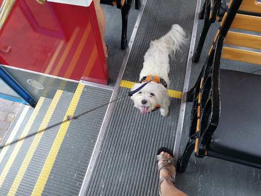 Tour Agency «Portland Discovery Land and Sea Tours», reviews and photos, 170 Commercial St, Portland, ME 04101, USA