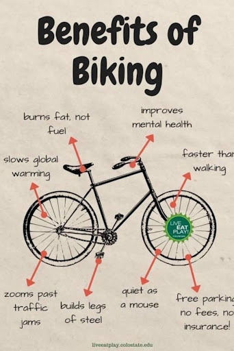 Bicycle Store «Cyclepath of San Mateo», reviews and photos, 1212 S El Camino Real, San Mateo, CA 94402, USA