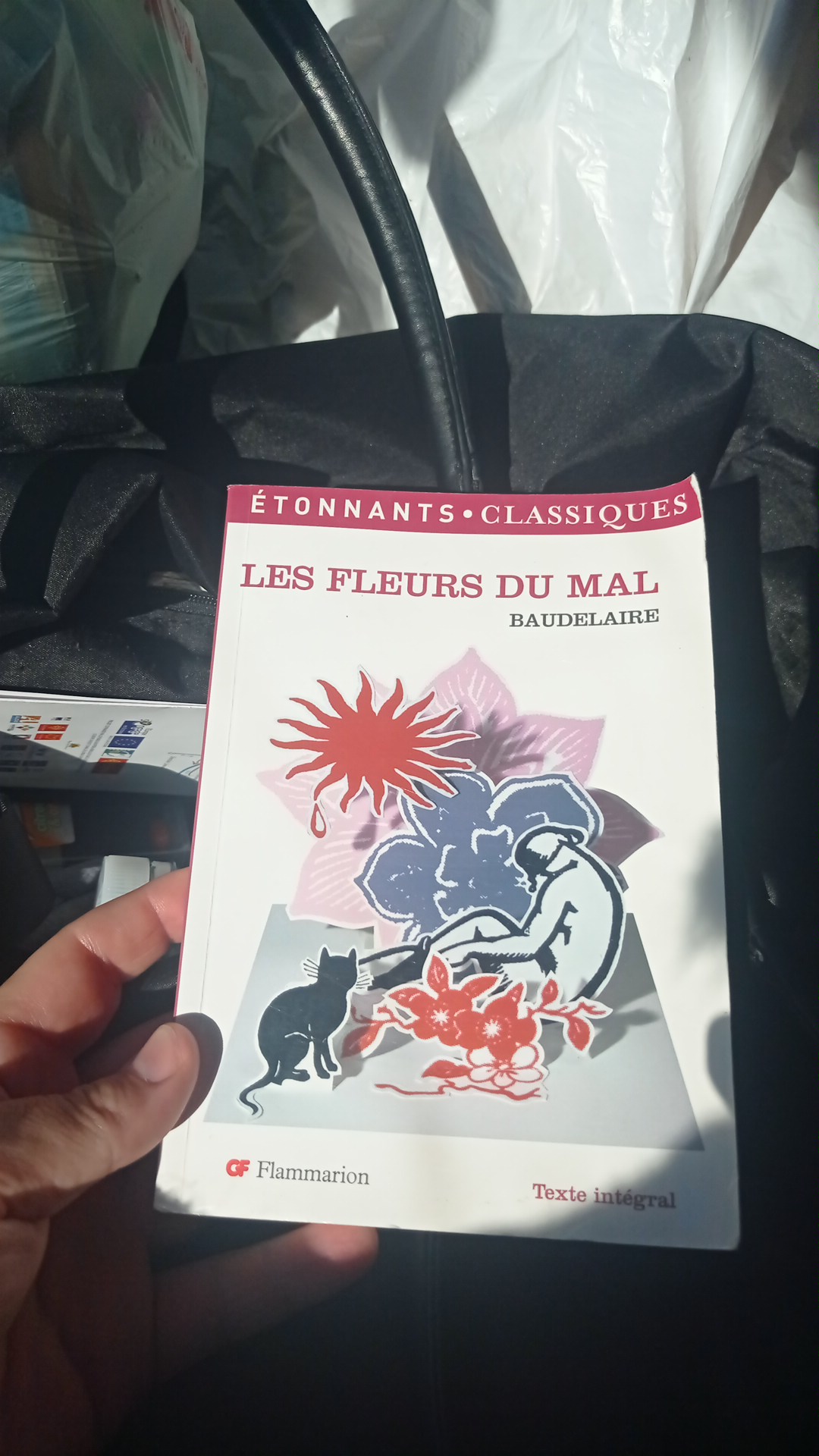 Photo n° 1 de l'avis de Ophelie.e fait le 20/04/2021 à 15:56