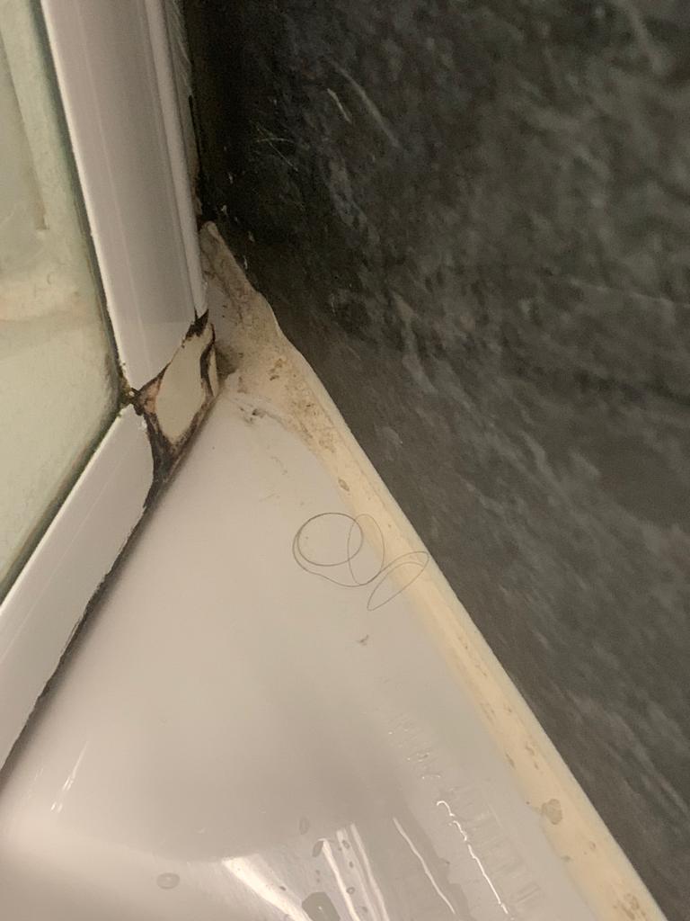 Photo n° 7 de l'avis de Narcisse. fait le 10/05/2023 à 18:23