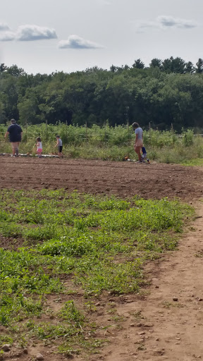 Grocery Store «Water Fresh Farm Marketplace», reviews and photos, 151 Hayden Rowe St, Hopkinton, MA 01748, USA