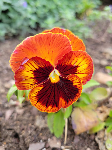 Park «Van Der Donck Park», reviews and photos, 41 Dock St, Yonkers, NY 10701, USA