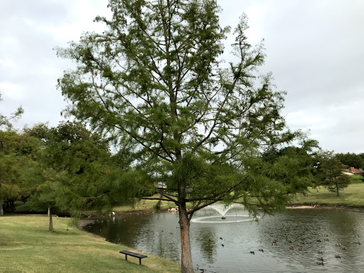 Park «Duck Pond Park», reviews and photos, 400 E Bethel School Rd, Coppell, TX 75019, USA
