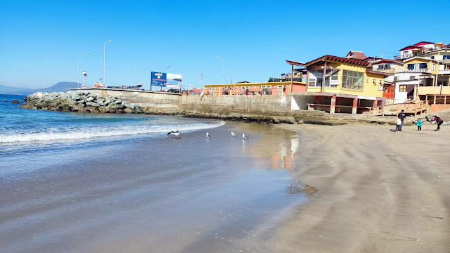 Playa de Pichicuy - La Ligua