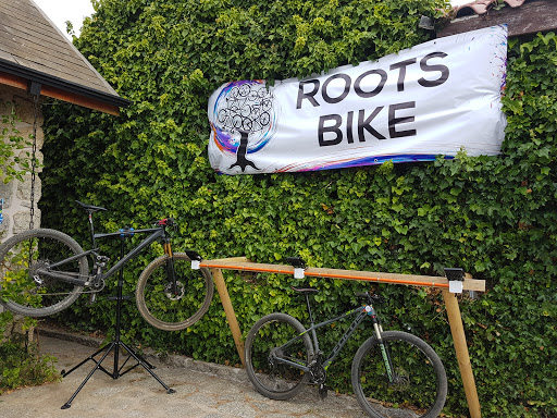 Taller De Bicicletas RootsBike