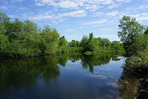 St. Charles River Linear Park image