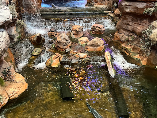 Sporting Goods Store «Bass Pro Shops», reviews and photos, 8200 Dean Martin Dr, Las Vegas, NV 89139, USA